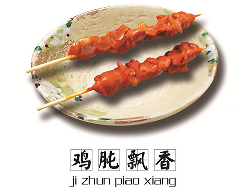 陶瓷皮帶清掃器